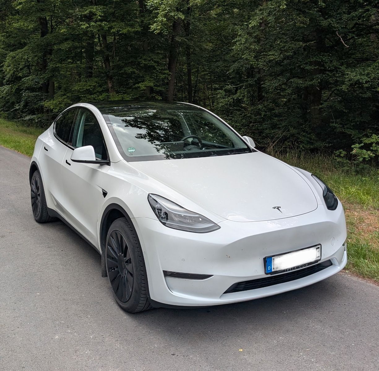 TESLA Model Y Long Range Dual Motor AWD
