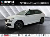 Skoda Kamiq Tour 1.5 TSI DSG KAMERA SHZ TOTWINKEL ACC - Skoda Gebrauchtwagen in Berlin