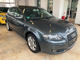 Audi A3 2.0 TDI/1.Hd./Led./Xen./F1/PDC/Panorama/Sport - Audi A3 aus 2005 mit Diesel-Antrieb: 2.0