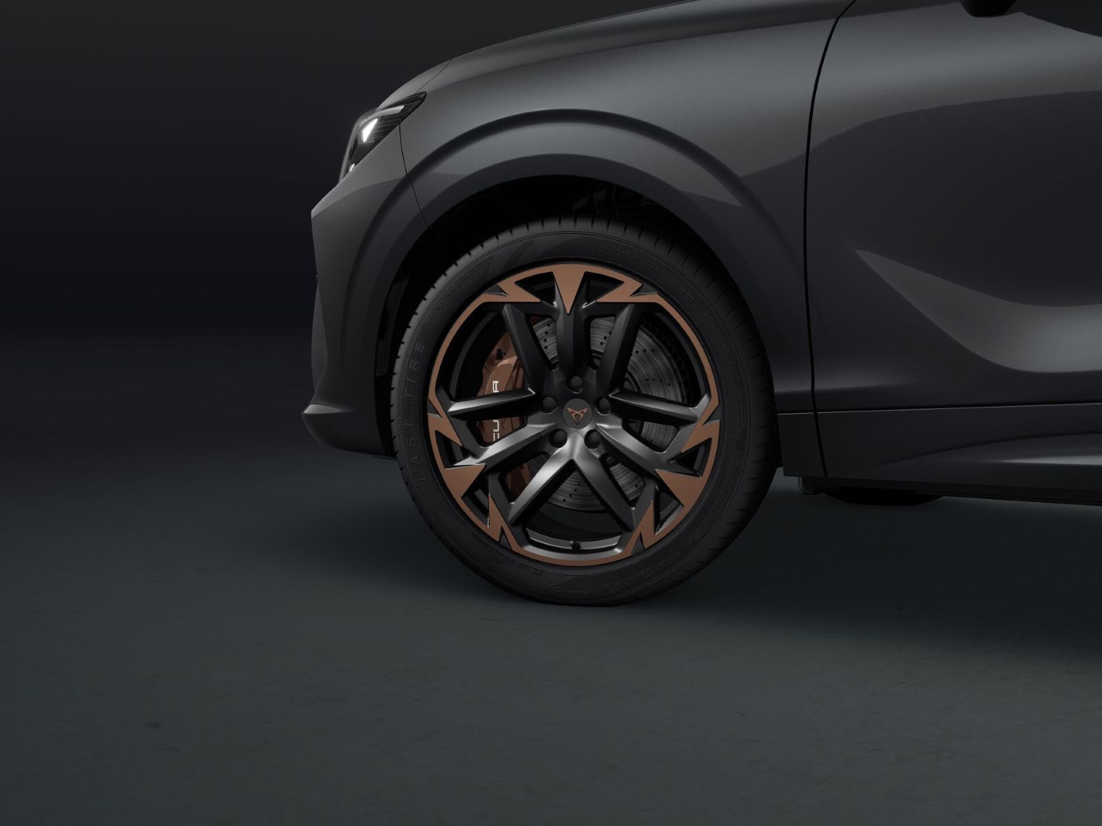 Cupra Terramar - Bild 4