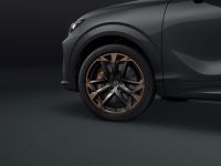 Cupra Terramar - Vorschau Bild 4