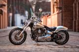 Harley-Davidson Breakout CVO FXSBSE - HARLEY-DAVIDSON CVO