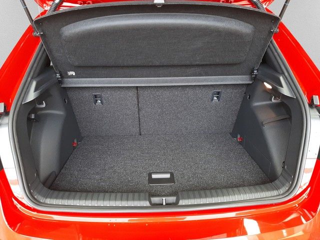 Fahrzeugabbildung Skoda Fabia Monte Carlo 1.0TSI DSG Navi ACC PDC SHZ