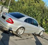 Mercedes-Benz-E-Klasse 270 CDI Avantgarde - Mercedes-Benz E 270: Cdi Avantgarde