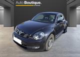 Volkswagen Beetle 1.2 TSI Cup /PDC/KLIMA/SHZ/BI-XENON UVM. - Volkswagen Beetle: Cup