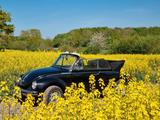 Volkswagen Käfer Cabrio 1303