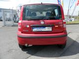 Fiat Panda 1.2 8V Dynamic - Fiat Panda: Rot