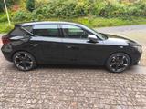 Cupra Leon 1.5 TSI 110kW - nur 1140 KM - Cupra Leon von privat