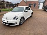 Volkswagen Beetle 1.2 TSI Design - gebrauchte VW Beetle aus dem Jahr 2012