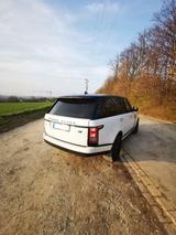 Land Rover Range Rover 3,0 TDV6 Vogue Vogue - Land Rover Range Rover: Weiß