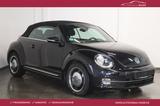 Volkswagen Beetle Cabrio Cup DSG-Klimaa-Alus-BC-SHZ-PDC-MFL - gebrauchte VW Beetle aus dem Jahr 2014