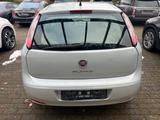 Fiat Punto Pop *HU & Service NEU*Garantie* - gebrauchte Fiat Punto aus dem Jahr 2012