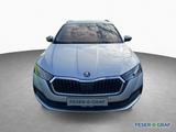 Skoda Octavia Combi Tour 2.0TDI*DSG TOUR*Beh.WSS*AHK*M - Skoda Octavia aus 2023