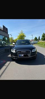 Audi SQ5 3.0 TDI tiptronic quattro - - Audi SQ5 in Bochum