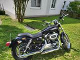 Harley-Davidson Sportster XL 1200 Low - HARLEY-DAVIDSON 2006 SPORTSTER 1200