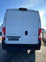 Peugeot Boxer Kasten 435 L3H2 Grip BlueHDi 165 - Peugeot Boxer l1h1