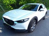 Mazda CX-30 Selection*R.cam*Navi*Leder*SHZ*CarPlay*LED - Mazda CX-30 in Bonn