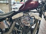 Harley-Davidson Evo Chopper Custom, Softail  - HARLEY-DAVIDSON 1998 SOFTAIL