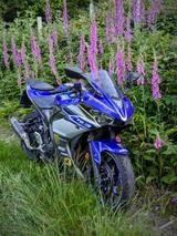 Yamaha YZF-R3A - YAMAHA YZF R3