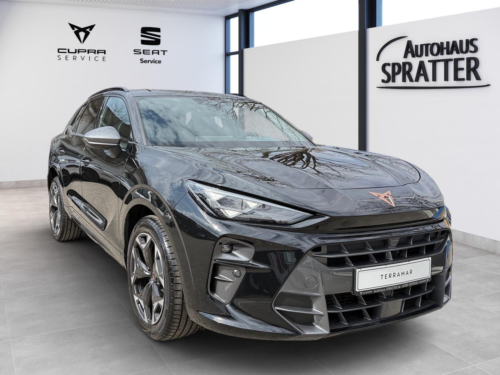 Cupra Terramar VZ 2.0 TSI 4Drive DSG AHK ACC Kamera, миниатюра 26
