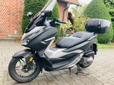 Honda Forza 300 - HONDA FORZA 300