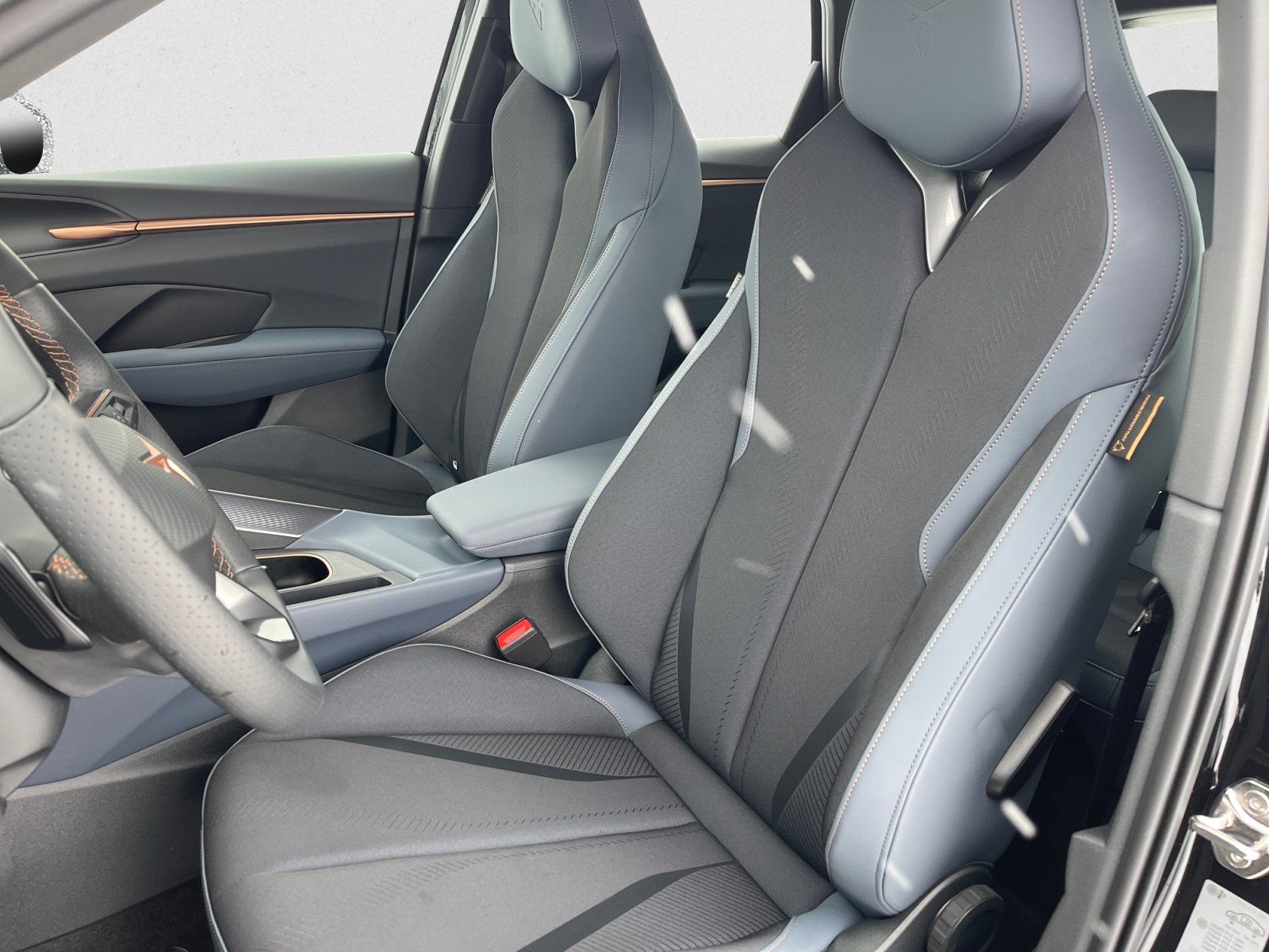 Cupra Terramar - Bild 9