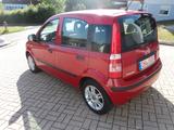 Fiat Panda 1.2 8V Classic*Klima*Euro 5*Top-Zustand* - Fiat Panda aus 2012