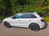 Audi SQ5 3.0 TDI plus tiptronic quattro - - Audi SQ5 Gebrauchtwagen in Stuttgart
