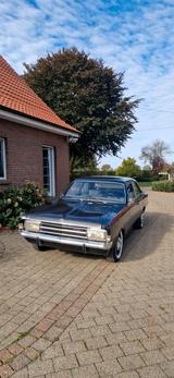 Opel Oldschool - Daily - Driver, Rekord C mit H... - Opel Rekord: D
