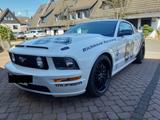 Ford Mustang GT 45th Anniversary (2009) LPG - gebrauchte Ford Mustang aus dem Jahr 2008