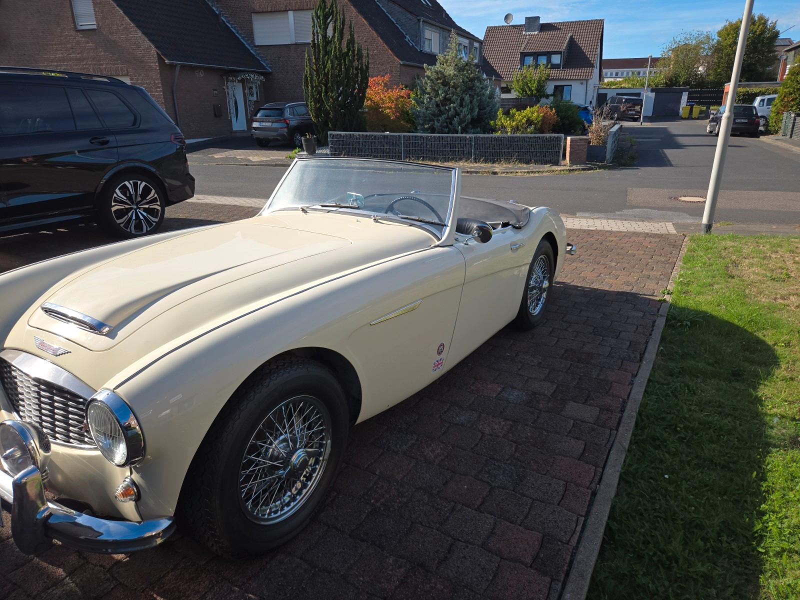 Austin Healey Andere