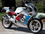 Gilera SP 01 Supersport Klassiker, 2-Takt, X-RAR  - GILERA VON 81 BIS 125 CCM