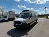 Mercedes-Benz Sprinter 519 (Stock ID 68412) - Mercedes-Benz Sprinter