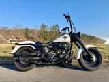 Harley-Davidson Fat Boy Special Black & White Custom Jekill APE  - FAT BOY