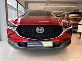Mazda CX-30 Selection 122 PS *AHK*Design*Premium-Paket - Mazda in Hagen