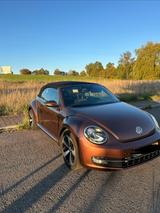 Volkswagen Beetle 1.2 TS Exclusive Design Cabriolet - Volkswagen Beetle: Exclusive Design