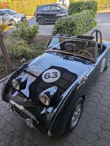 Austin Healey Andere - Austin Healey Gebrauchtwagen von 1960
