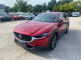 Mazda CX-30 CX-30 Selection 2WD - Mazda CX-30: Limousine