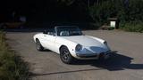 Alfa Romeo Alfa Spider Rund heck - gebrauchte Alfa Romeo Spider aus dem Jahr 1969
