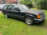 Mercedes-Benz W123 300 TDT Kombi, Turbo, Leder, TÜV neu - Mercedes-Benz: Kombi, W123