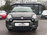 Fiat Panda City Cross Hybrid *SHZ*Kilmaauto.* - Fiat Panda: Pickup