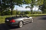 Mercedes-Benz SL 500 - AMG, BOSE, PANO, DESIGNO, - Mercedes-Benz SL 500 aus 2005