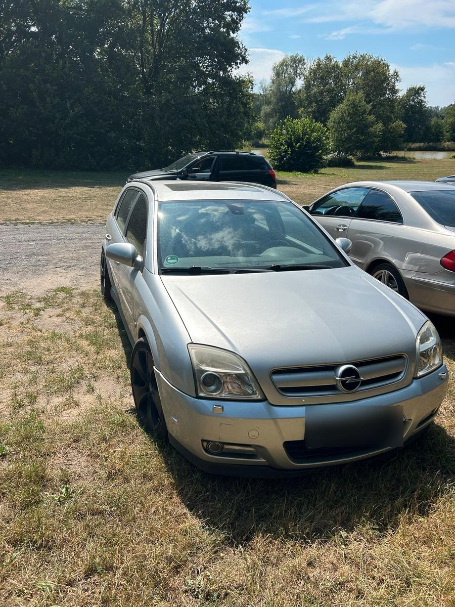 Opel Signum, 2004