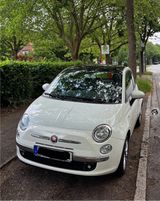 Fiat 500 1.2 8V Cult in weiß - Fiat 500: Weis