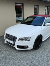 Audi S5 Cabrio  3.0 TFSI quattro Leder Carplay B&O - gebrauchte Audi S5 aus dem Jahr 2009