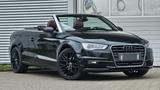 Audi A3 Cabriolet amb Alle Assist Xenon Shzg Klima - Audi A3 mit Diesel-Antrieb: Cabrio, Automatik