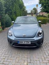 Volkswagen Beetle Cabrio ABT Sportline Nr 5 von 10 (290 PS)