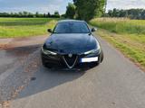 Alfa Romeo TOP Giulia 2.2 D 132 kW Leder, PANO, NEU ZR TÜV  - Alfa Romeo