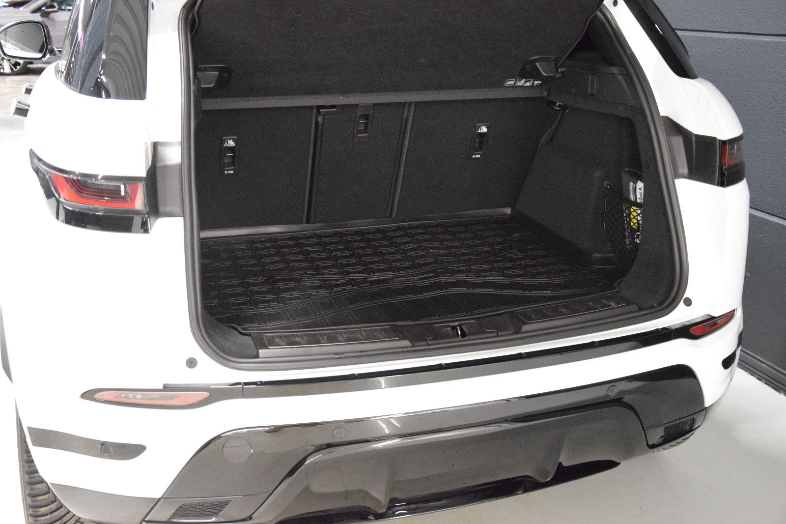 Fahrzeugabbildung Land Rover Range Rover Evoque R-Dynamic SE Pano ACC Memory