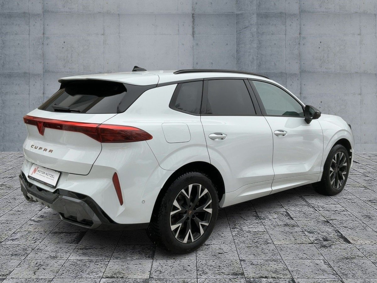 Cupra Terramar - Bild 6